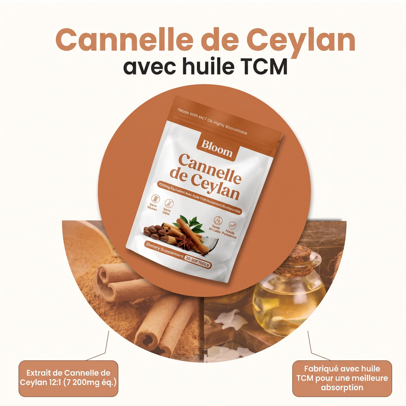 La vraie cannelle de Ceylan,